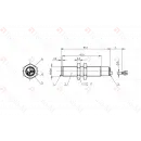 Емкостной датчик Balluff BCS M12BBI1-PSC40D-EP02